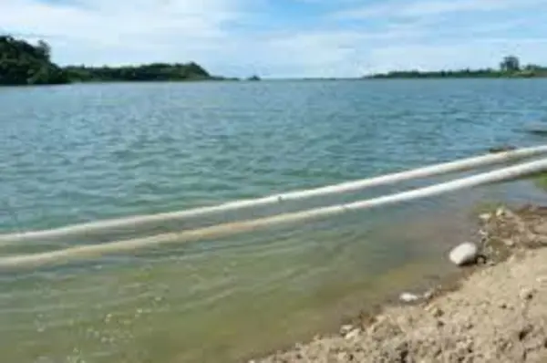 The dewatering licence allows 47 days of controlled removal of water from the dam, approximately two centimeters per day or one meter over the licensed period.