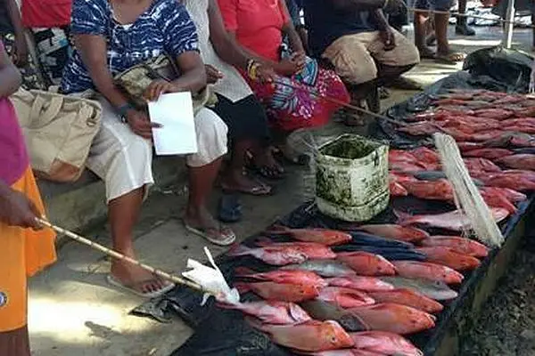 The World Bank, acting as administrator of funds from the Japan Social Development Fund, today signed a grant agreement with the Solomon Islands Government for a USD 2.8 million, Community Benefit Sharing Pilot Project.