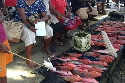 The World Bank, acting as administrator of funds from the Japan Social Development Fund, today signed a grant agreement with the Solomon Islands Government for a USD 2.8 million, Community Benefit Sharing Pilot Project.