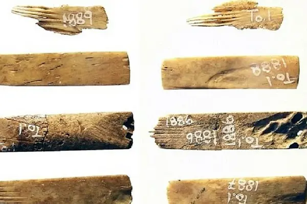 The world&#39;s oldest-known tattooist&#39;s kit has tools (pictured) made from human bones, scientists have confirmed. The kit has been confirmed to be 2,700 years old by carbon dating. 