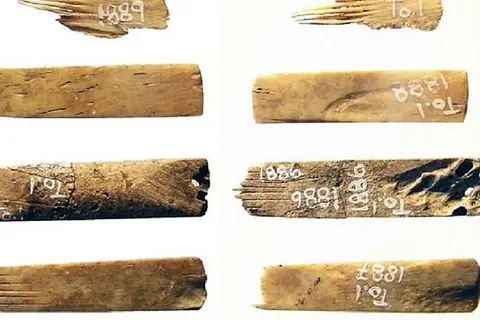 The world's oldest-known tattooist's kit has tools (pictured) made from human bones, scientists have confirmed. The kit has been confirmed to be 2,700 years old by carbon dating.