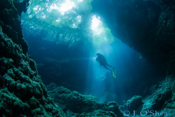 Mbulo Caves in Mbulo Island has a series of caves cut into the reef around the island. This dive is all about the light; swimming in and out of caves, finding beams of light to shoot. A green jungle canopy lies above.