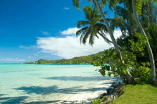The project will intervene in the areas of policy/legislation of the tourism sector; promote Solomon Islands as a distinct visitor’s destination in the Pacific Region and strengthen the linkages of the tourism sector with the auxiliary sectors like agriculture and handicraft.