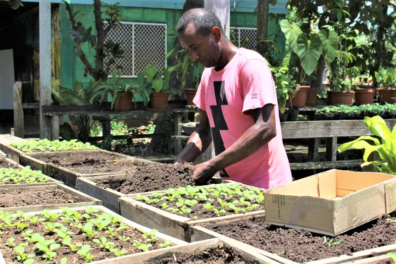 Better seed systems for the Solomon Islands! PHAMA Plus has partnered with Kastom Gaden Association to help address food and nutrition security concerns in the country by improving seed distribution and support systems for increased agricultural production.