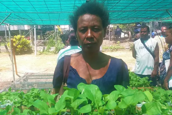 Olivia gathered her four children after dinner every evening and gave them tasks as they planned for their mini garden. All of the children have a task each. They started building small beds and a mini greenhouse, preparing for when the seedlings will be ready for collection.