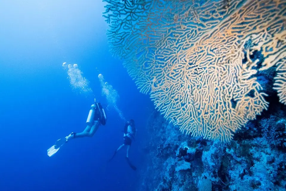 To vote in the awards, visit www.divemagazine.co.uk/travel and go to ‘Dive Travel Awards 2020’.