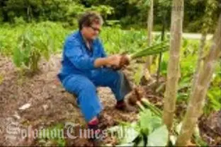 A taro farmer on Niue