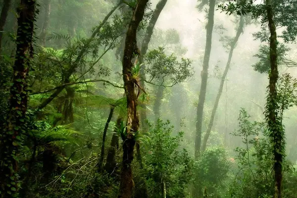 “Our identity as a people and tribe, our livelihood, our pride, our history, they are all tied to the land,” he said.