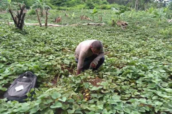 Farmers form the backbone of the agriculture sector and the economy, yet, they continue to face numerous challenges in accessing resources and market. 