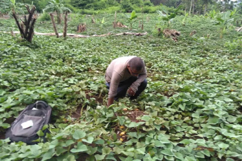 Farmers form the backbone of the agriculture sector and the economy, yet, they continue to face numerous challenges in accessing resources and market.