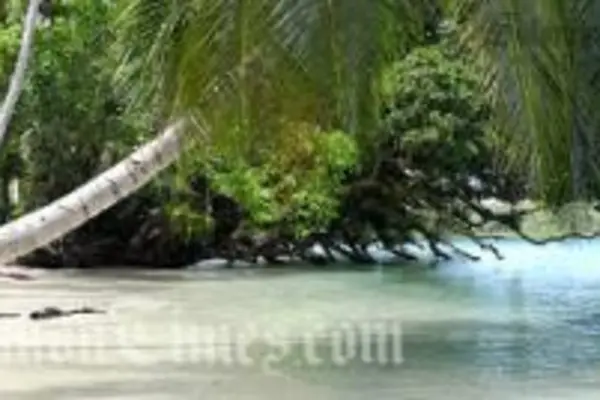 The five-star Tavanipupu Private Island Resort is known as one of the South Pacific's 'best kept secrets'.