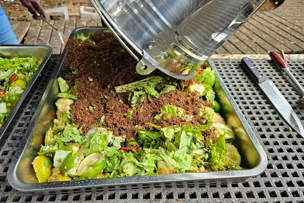 The program’s first batch of compost is set to be distributed to farmers, who will use it to enhance their vegetable gardens, fostering organic farming methods that benefit the environment, enrich the soil, and improve health.