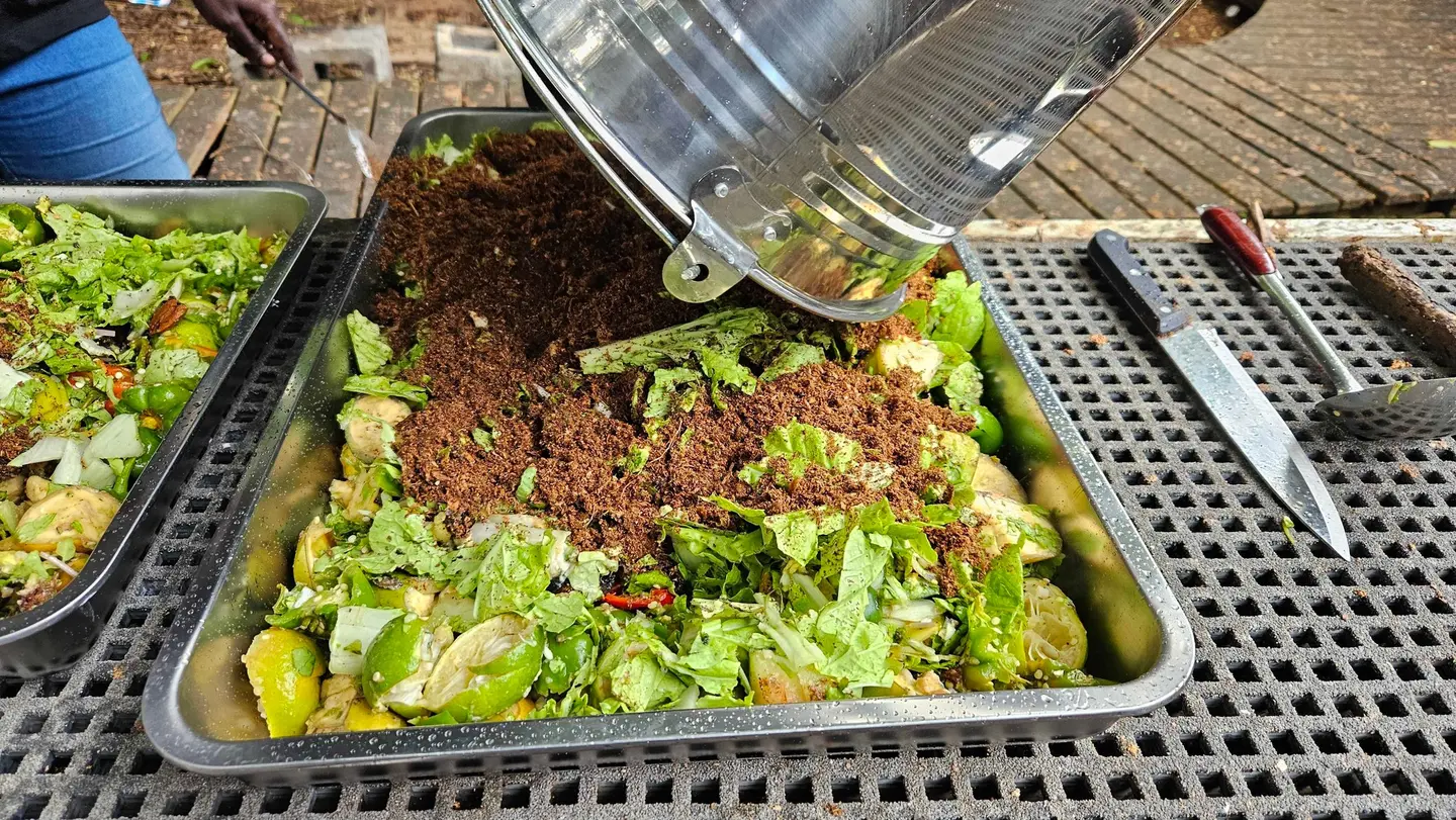 The program’s first batch of compost is set to be distributed to farmers, who will use it to enhance their vegetable gardens, fostering organic farming methods that benefit the environment, enrich the soil, and improve health.