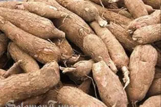 The expert says that for the Solomon Islands, one of the key requirements that must be considered carefully is that of quality, "they have to meet internationally accepted standards."