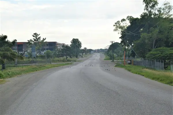 A workable homegrown plan that is tailored to our socio-economic situation needs to be drawn up.