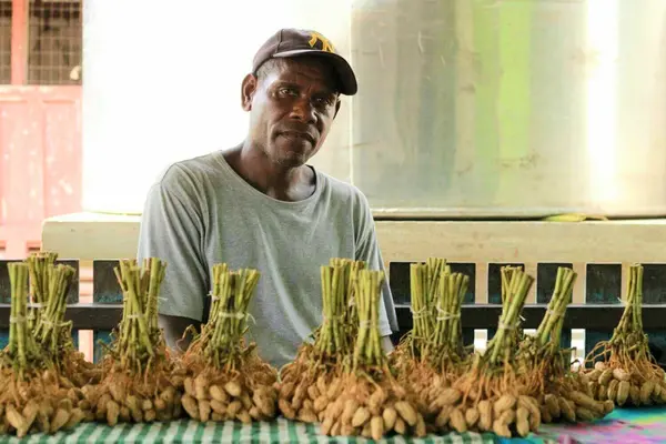 Obadiah said he had to explore other options and decided to focus on a crop that has high local demand, good yield, and can be produced all year round.
