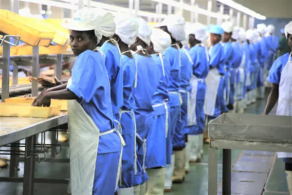 The immediate concern for businesses and organisations is what to do with their workforce once a lengthy lockdown is imposed, and judging from the unpredictability and spread of COVID-19 worldwide, local HR Practitioners insists that as part of the country’s preparedness efforts measures needs to be in place now, rather than later.