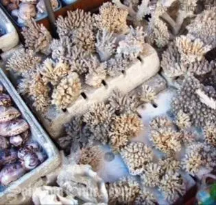 The confiscated pallets, similar to the one pictured above, is said to be valued at close to USD$1 million dollars.