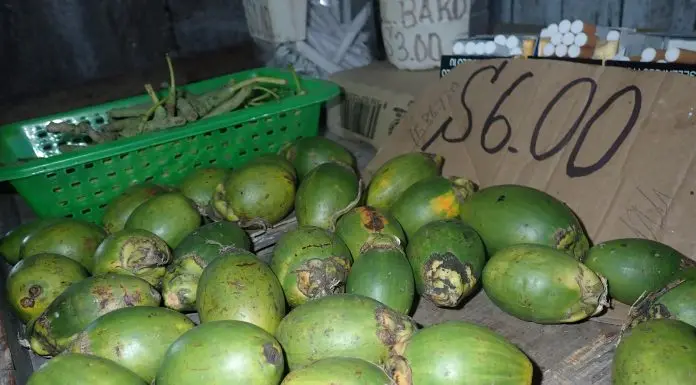 Madeo adds vendors should avoid selling betel nuts in the street even though the country is still free COVID-19. He said preventive measures should be upheld.