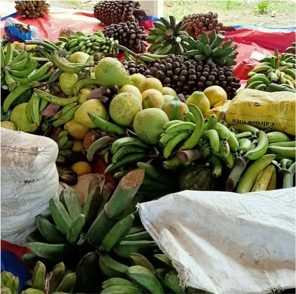 Chairman of the LSC Mr. Michael Ho’ota thanked the churches for their generous contribution adding the food support will help the LSC feed those that are in home isolation or in quarantine sites.