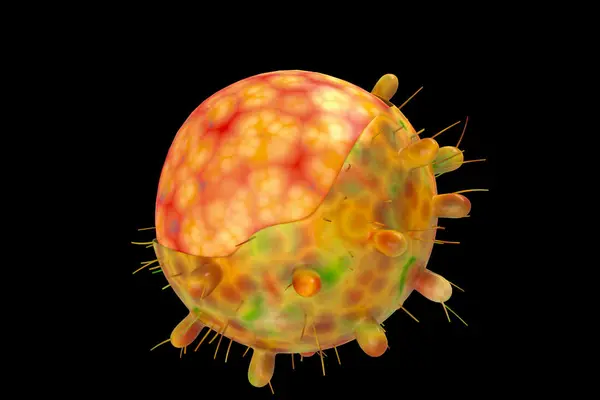 He says samples have been sent to Australia for genome sequencing to determine the variant, with all likelihood pointing to the highly contagious Omicron variant.