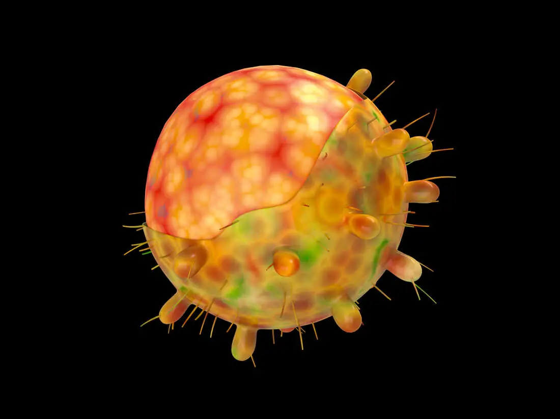 He says samples have been sent to Australia for genome sequencing to determine the variant, with all likelihood pointing to the highly contagious Omicron variant.