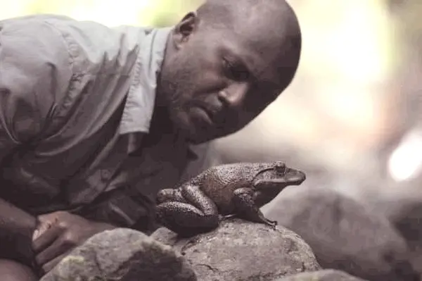 Dr. Patrick Pikacha is a vertebrate ecologist and field biologist, currently a senior lecturer in ecology in the School of Science and Technology at PAU.