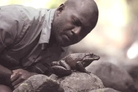 Dr. Patrick Pikacha is a vertebrate ecologist and field biologist, currently a senior lecturer in ecology in the School of Science and Technology at PAU.