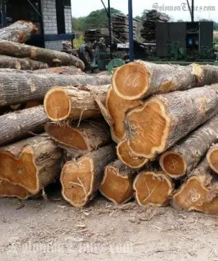Past governments have used expansionary fiscal policies, which basically encouraged more government spending but slightly less tax, because of the boom in the forestry sector in past decades.