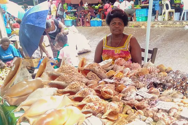 While vendors might not think much of selling items such as sea shells, for Susan she says it is a lucrative business.