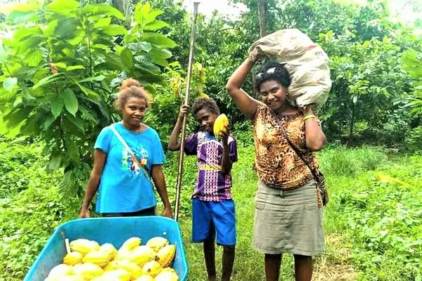 “I have a poor background in my education before I got into the cocoa export business, but then I found Facebook, it was easy and a cheap way for me to promote my business both in country and oversea."
