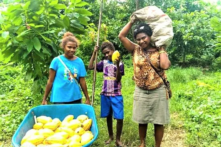 “I have a poor background in my education before I got into the cocoa export business, but then I found Facebook, it was easy and a cheap way for me to promote my business both in country and oversea."