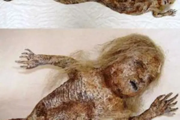 The snake baby was said to resemble the picture above, circulated widely on the web.