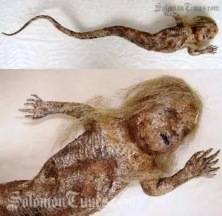 The snake baby was said to resemble the picture above, circulated widely on the web.