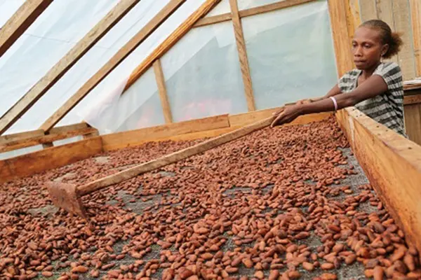The facility will support existing production in cocoa, copra, kava, noni, cassava, and other export commodities.