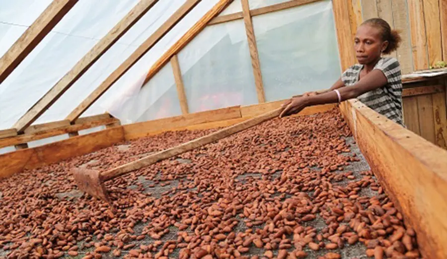 The facility will support existing production in cocoa, copra, kava, noni, cassava, and other export commodities.