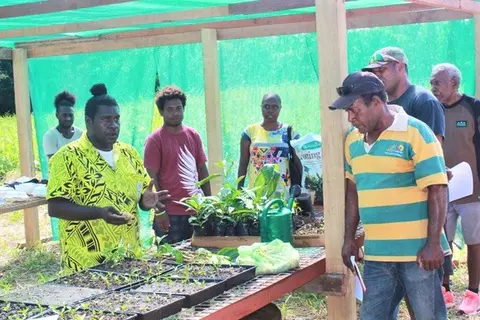 Clement Totu, field officer Guadalcanal agriculture extension office explains to farmers the processes of Noni propagation at the Propagation/Nursery booth during the Noni field day at T.W. Enterprise Noni farm at LDA area.