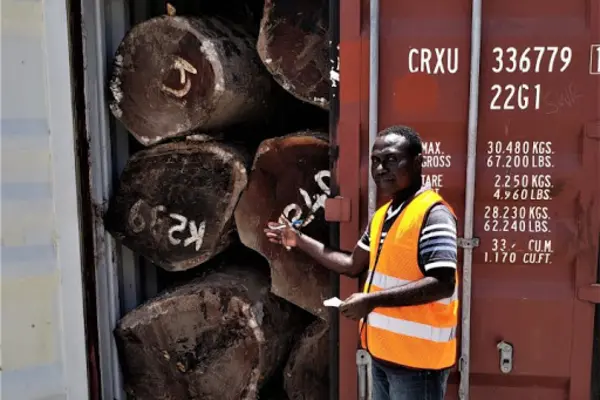 This is the second time in the recent past certain loggers have tried to evade tax by loading round logs into containers for export. In November 2019, twenty containers were seized by customs after it was discovered that they were full of kwila round logs.