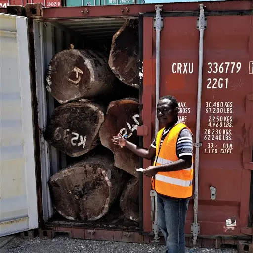 This is the second time in the recent past certain loggers have tried to evade tax by loading round logs into containers for export. In November 2019, twenty containers were seized by customs after it was discovered that they were full of kwila round logs.