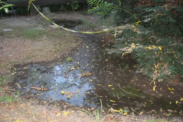 Health Authorities Urge Honiara Residents to Clean Surroundings