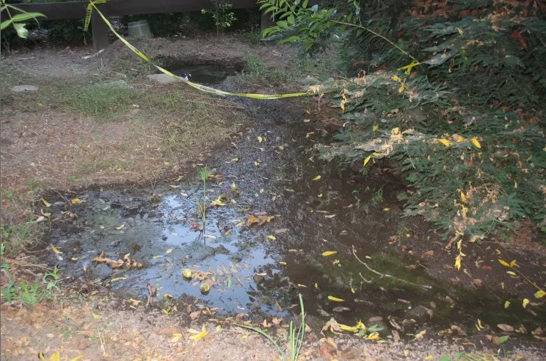 Health Authorities Urge Honiara Residents to Clean Surroundings