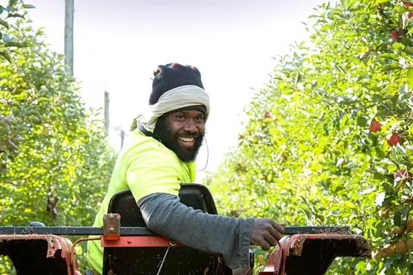 Under the Rudd government a pilot scheme for up to 2,500 seasonal workers per year from Kiribati, PNG, Tonga and Vanuatu was implemented. The scheme was made permanent in 2012 as the Seasonal Worker Program (SWP).