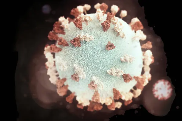 Experts are pointing to COVID 19 cases in the Pacific Islands, which shows that the virus can spread in hot weather.