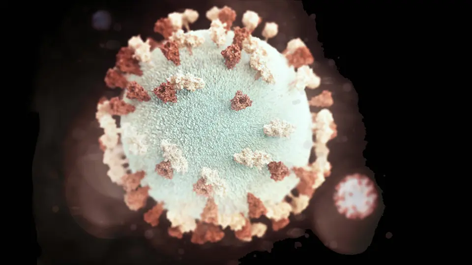Experts are pointing to COVID 19 cases in the Pacific Islands, which shows that the virus can spread in hot weather.