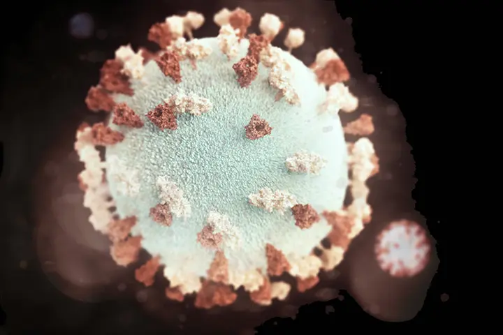 Experts are pointing to COVID 19 cases in the Pacific Islands, which shows that the virus can spread in hot weather.