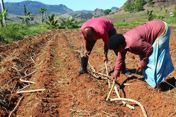 The Initiative is open to Fiji, Kiribati, Republic of the Marshall Islands, Solomon Islands, Tonga, Tuvalu and Vanuatu. NGOs, CSOs and CBOs involved in community development are encouraged to apply before Thursday 16 September 2021.
