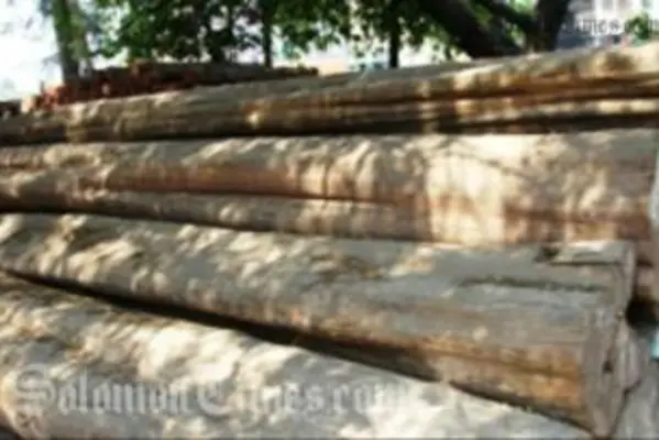 TSI says that the Government's action will not deter others from engaging in such illegal behavior.