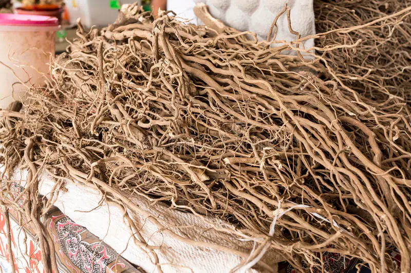 Kava Export High on Government Agenda
