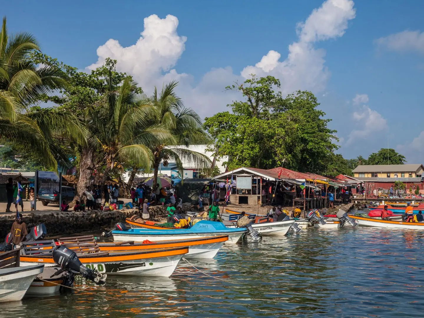 Alcohol Consumption an Issue for 'Banana Boats’