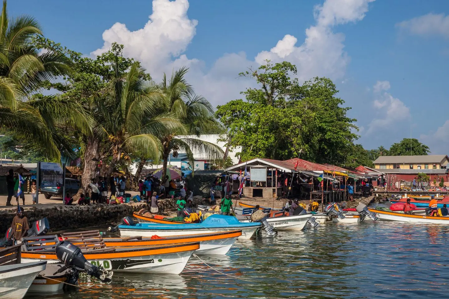 Alcohol Consumption an Issue for 'Banana Boats’